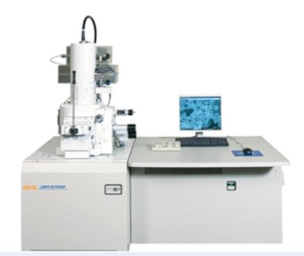 扫描电子显微镜（SEM）